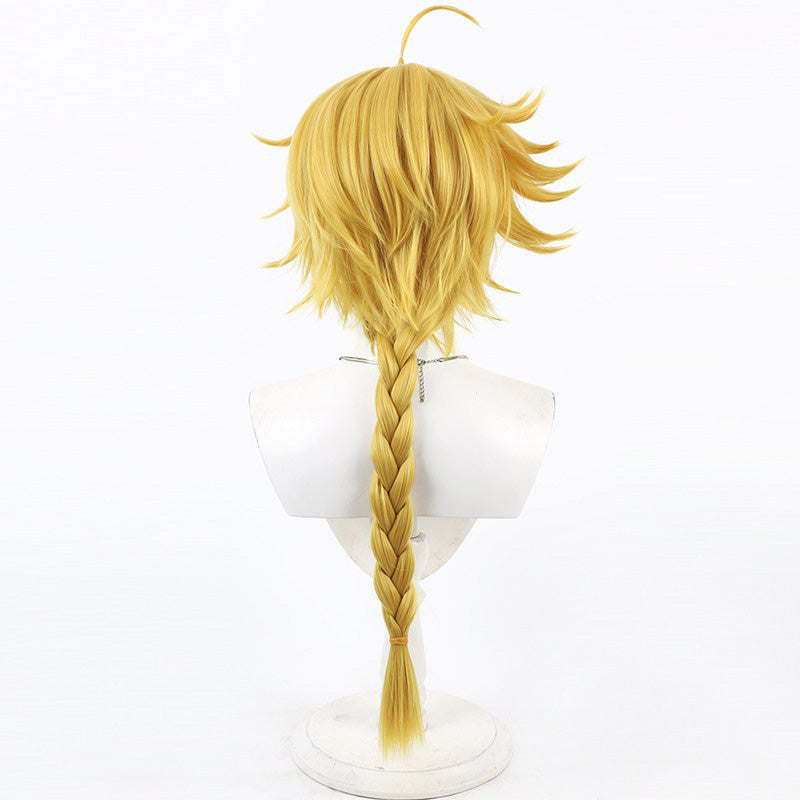Fate Strange Fake Richard Cosplay Wigs