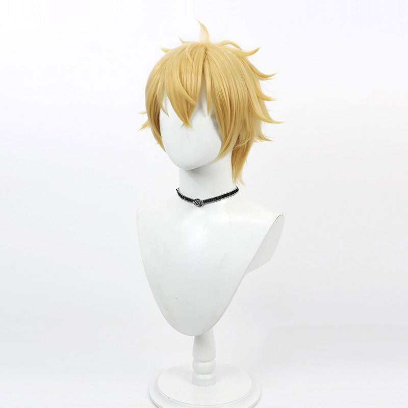 Wind Breaker Akihiko Nirei Cosplay Wigs