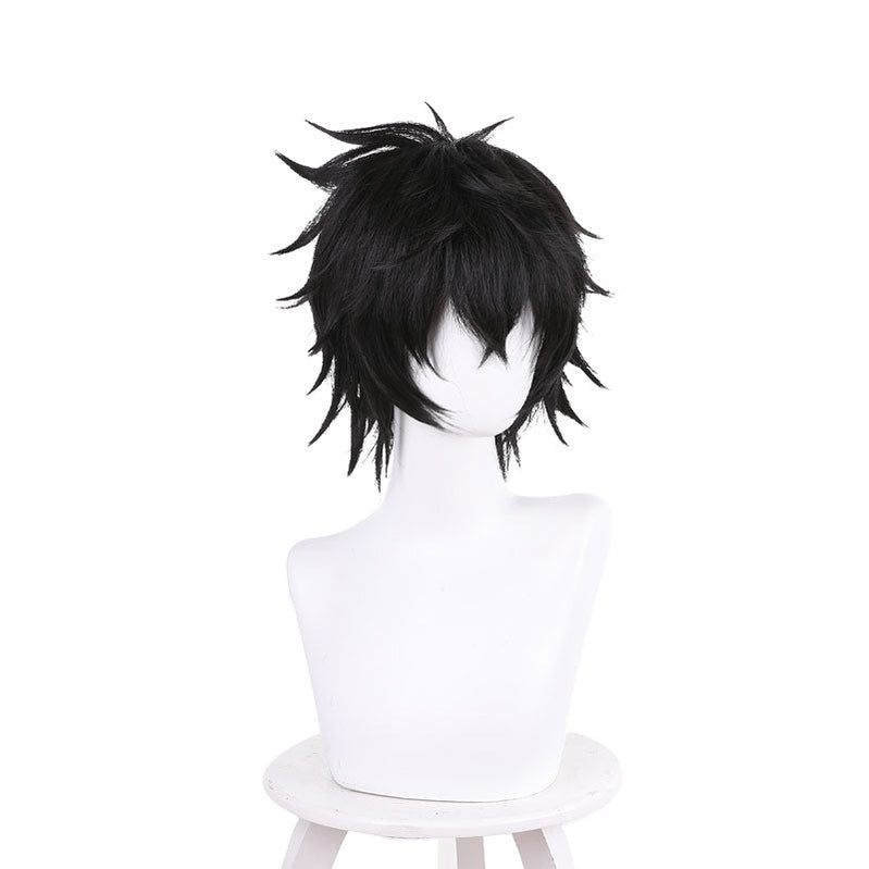 Anime The Rising of The Shield Hero Naofumi Iwatani Short Black Cosplay Wigs