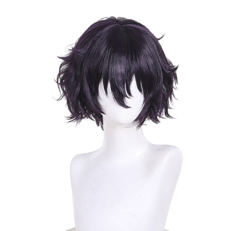 Witch Hat Atelier Agott Arklaum Cosplay Wigs
