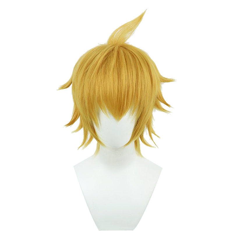 Mob Psycho 100 Teruki Hanazawa Cosplay Wigs