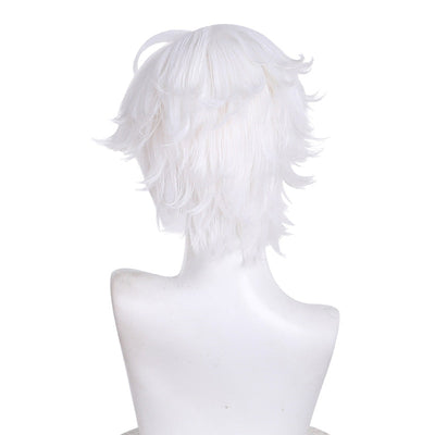 Witch Hat Atelier Qifrey Cosplay Wigs