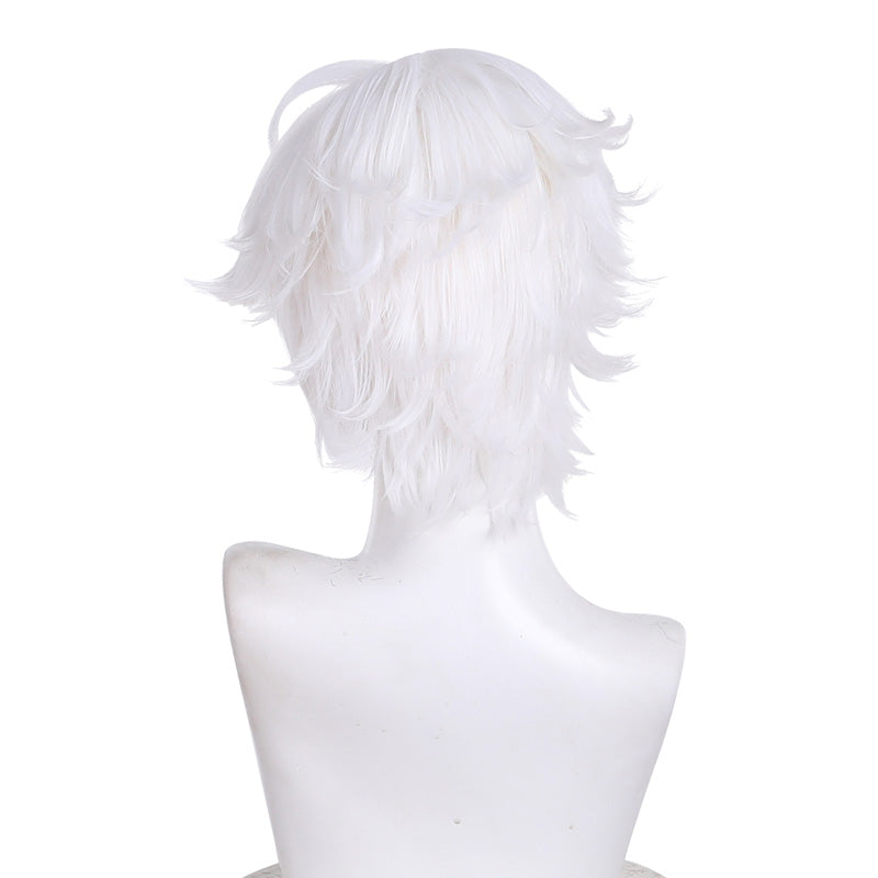 Witch Hat Atelier Qifrey Cosplay Wigs