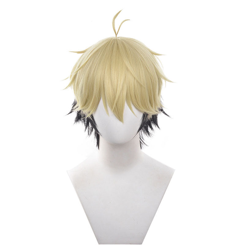 Anime Link Click Xia Fei Cosplay Wigs