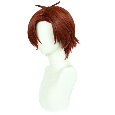 Classroom of the Elite Kiyotaka Ayanokoji Cosplay Wig