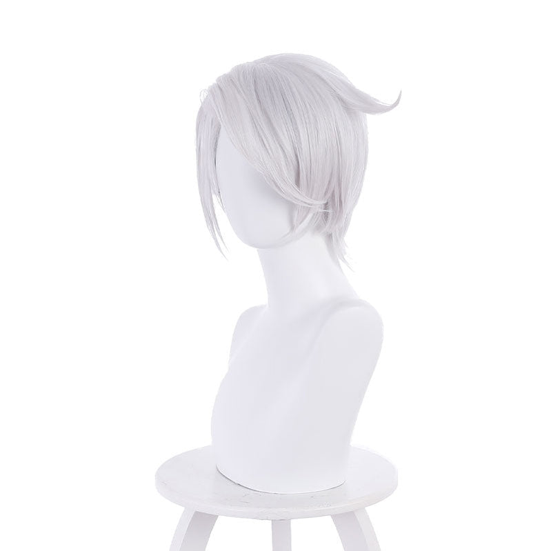 Anime The Case Study of Vanitas Noé Archiviste Silver White Cosplay Wigs