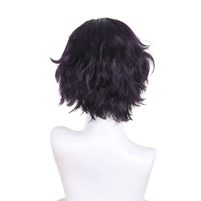 Witch Hat Atelier Agott Arklaum Cosplay Wigs
