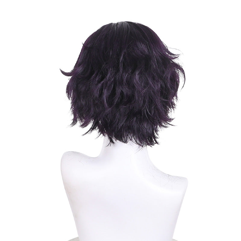 Witch Hat Atelier Agott Arklaum Cosplay Wigs