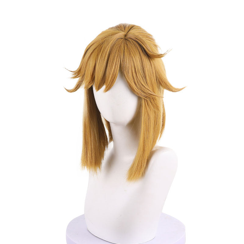 The Legend of Zelda: Breath of the Wild Link Cosplay Wig