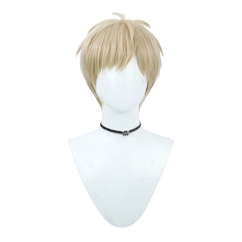 Delicious in Dungeon Laios Touden Cosplay Wigs