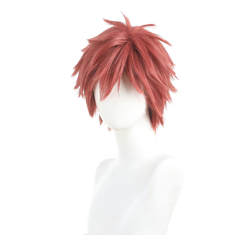 The Fragrant Flower Blooms with Dignity Shohei Usami Cosplay Wigs
