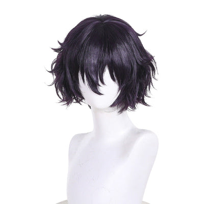 Witch Hat Atelier Agott Arklaum Cosplay Wigs