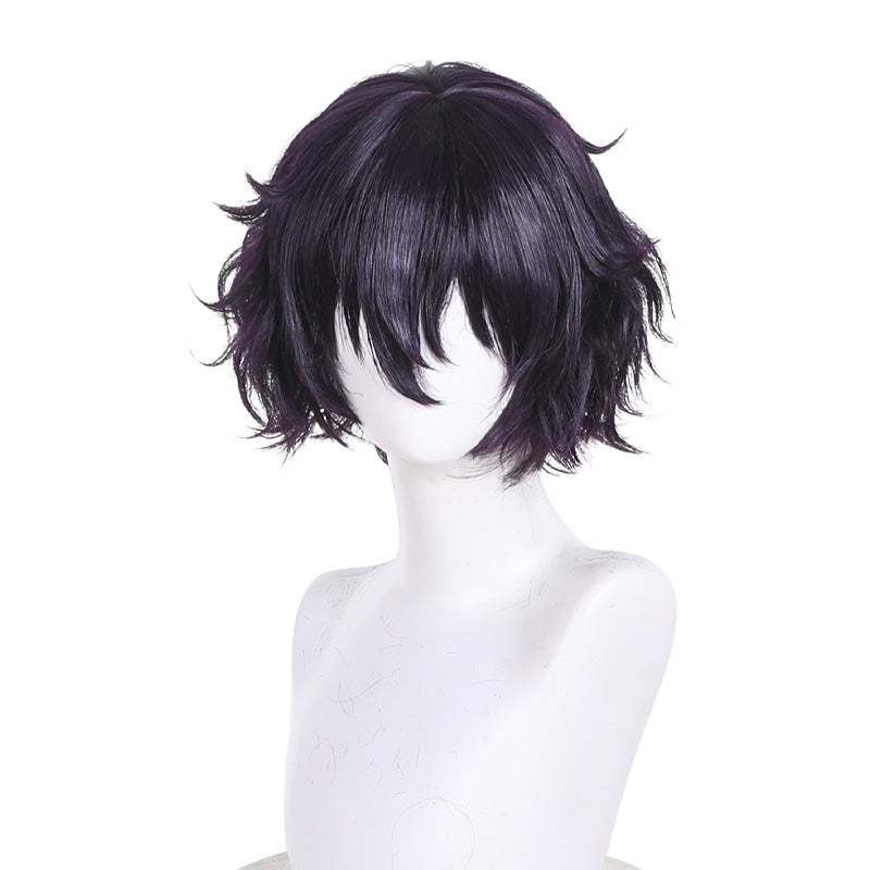 Witch Hat Atelier Agott Arklaum Cosplay Wigs