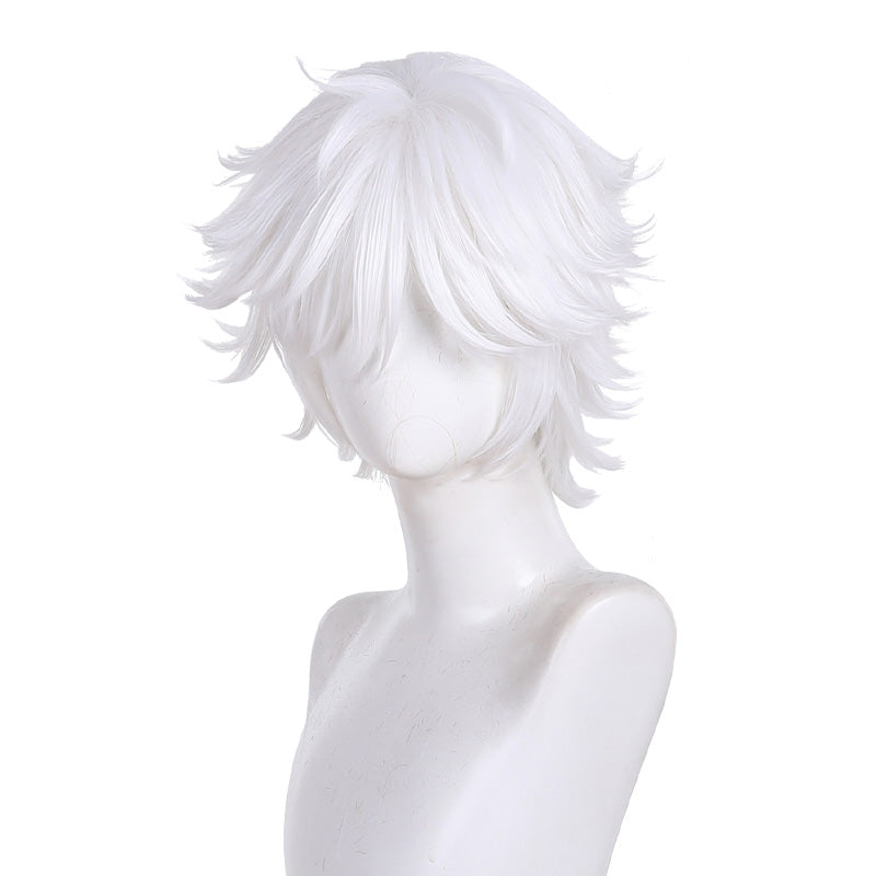 Witch Hat Atelier Qifrey Cosplay Wigs
