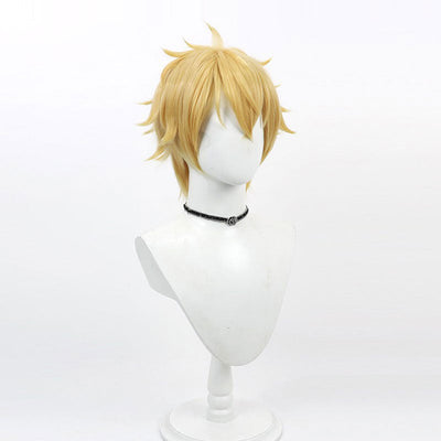 Wind Breaker Akihiko Nirei Cosplay Wigs