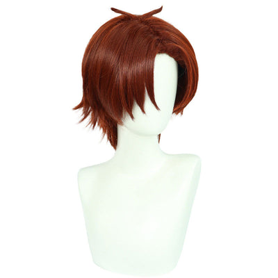Classroom of the Elite Kiyotaka Ayanokoji Cosplay Wig