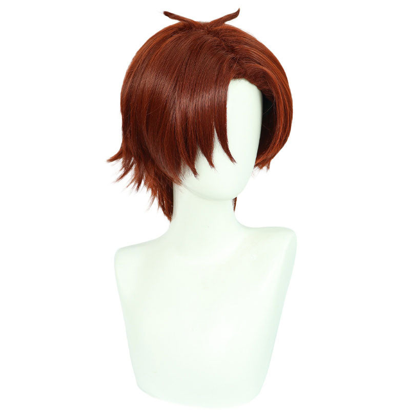 Classroom of the Elite Kiyotaka Ayanokoji Cosplay Wig