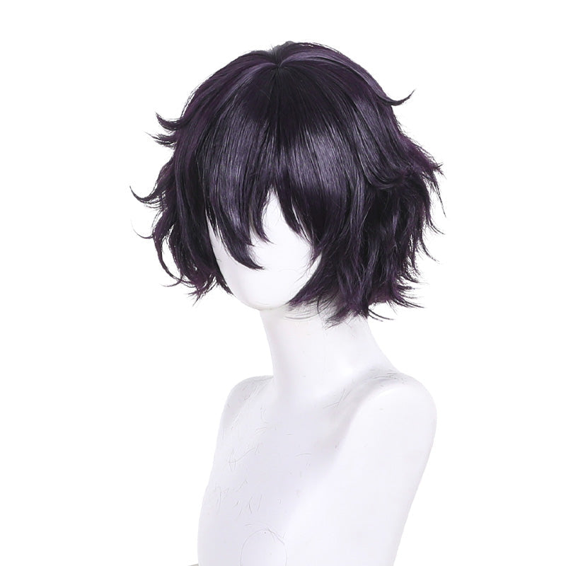 Witch Hat Atelier Agott Arklaum Cosplay Wigs