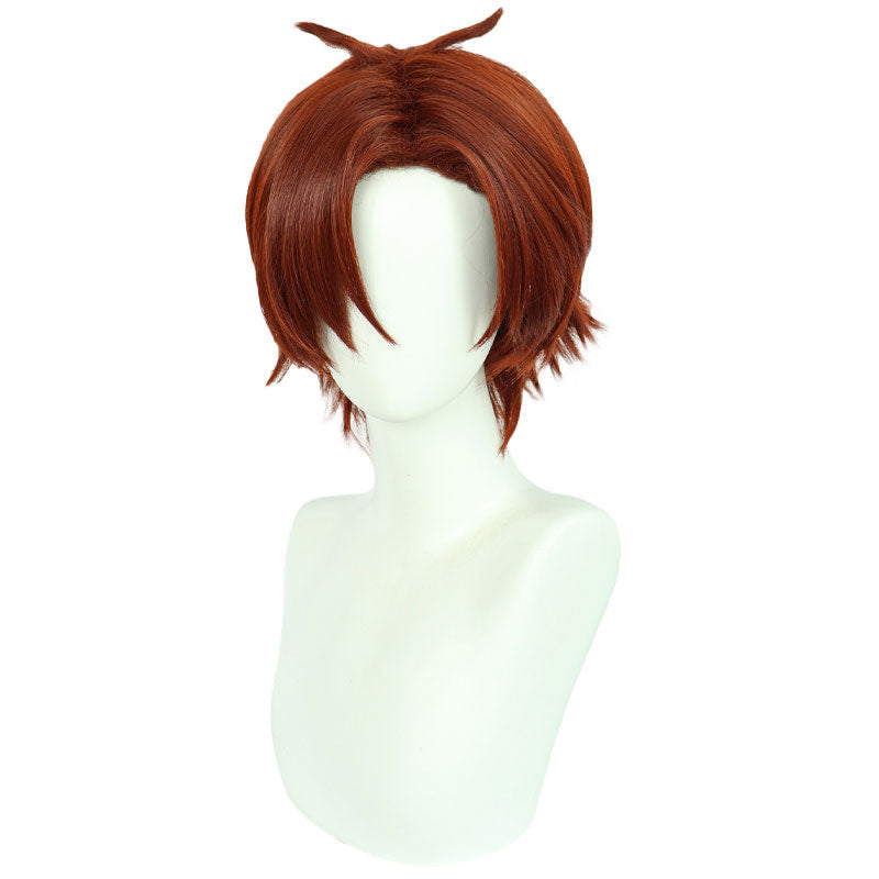 Classroom of the Elite Kiyotaka Ayanokoji Cosplay Wig