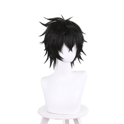 Anime The Rising of The Shield Hero Naofumi Iwatani Short Black Cosplay Wigs