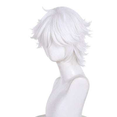 Witch Hat Atelier Qifrey Cosplay Wigs