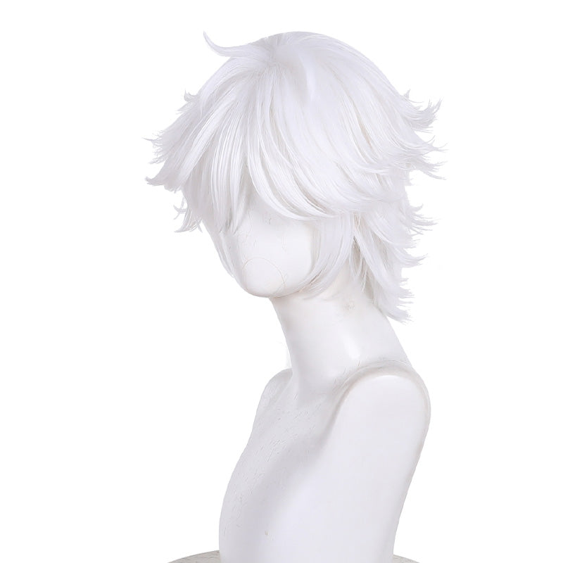 Witch Hat Atelier Qifrey Cosplay Wigs