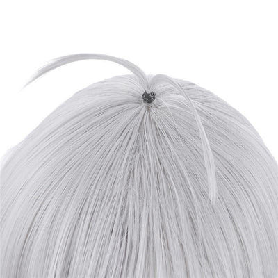 Princess Connect! Re:Dive Kokoro Natsume Silver Gray Short Synthetic Cosplay Wig
