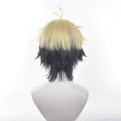 Anime Link Click Xia Fei Cosplay Wigs