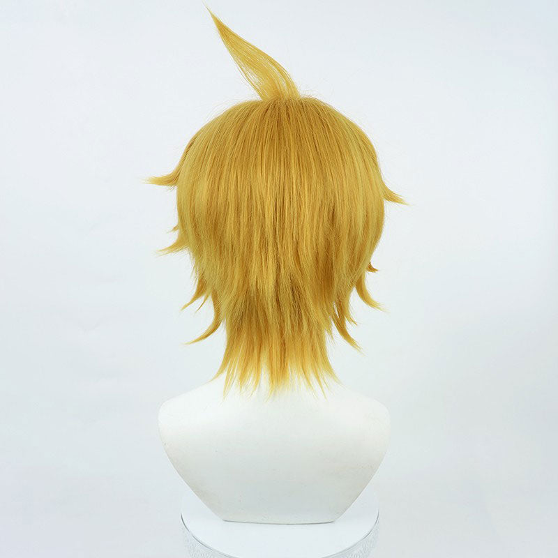 Mob Psycho 100 Teruki Hanazawa Cosplay Wigs