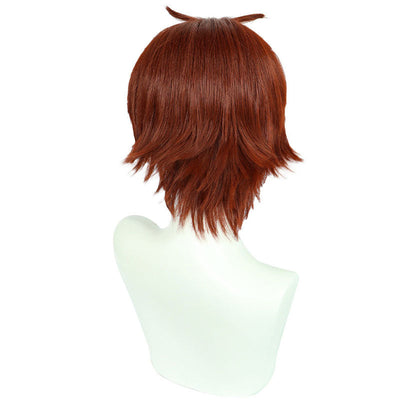 Classroom of the Elite Kiyotaka Ayanokoji Cosplay Wig