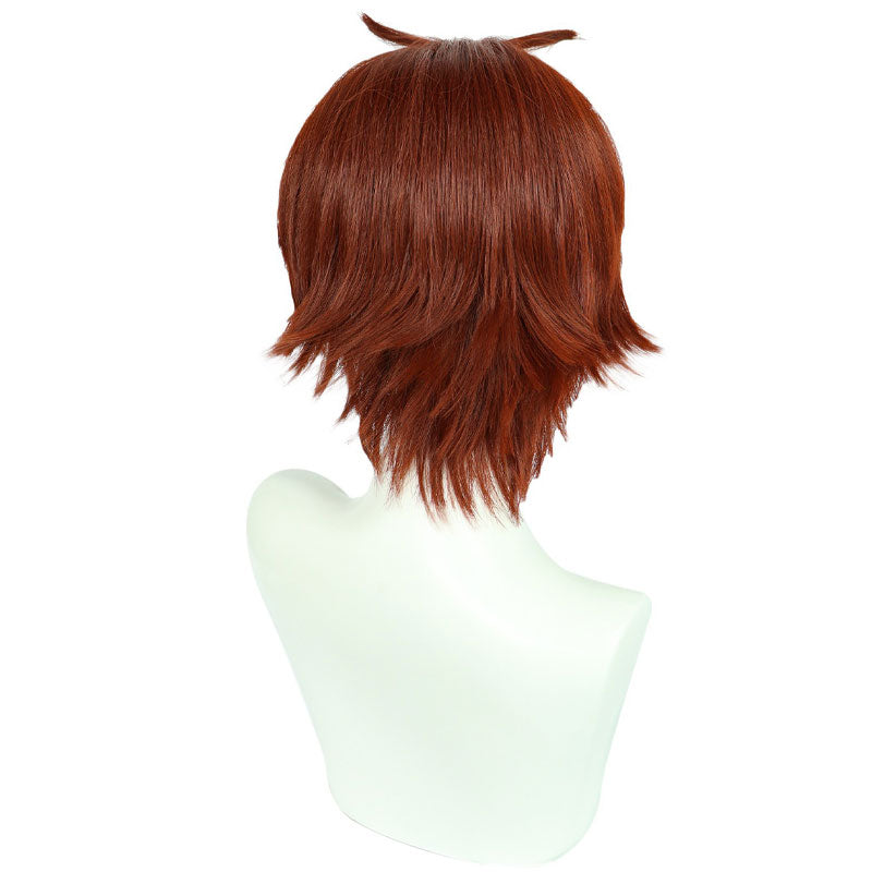 Classroom of the Elite Kiyotaka Ayanokoji Cosplay Wig