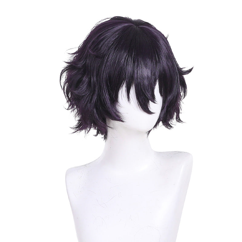 Witch Hat Atelier Agott Arklaum Cosplay Wigs