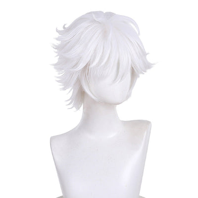 Witch Hat Atelier Qifrey Cosplay Wigs