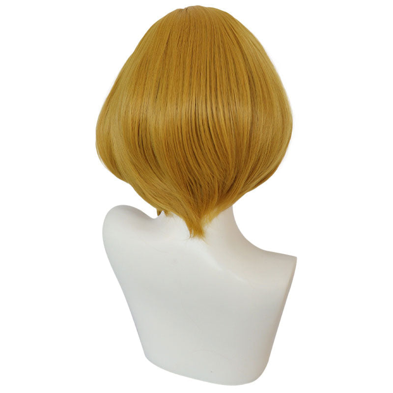 The Legend of Zelda: Tears of The Kingdom Princess Zelda Cosplay Wig