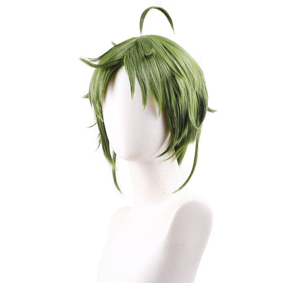 Mushoku Tensei Sylphiette Cosplay Wigs