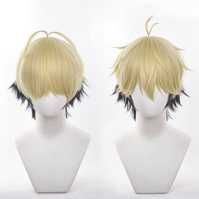 Anime Link Click Xia Fei Cosplay Wigs