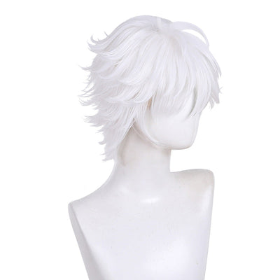 Witch Hat Atelier Qifrey Cosplay Wigs