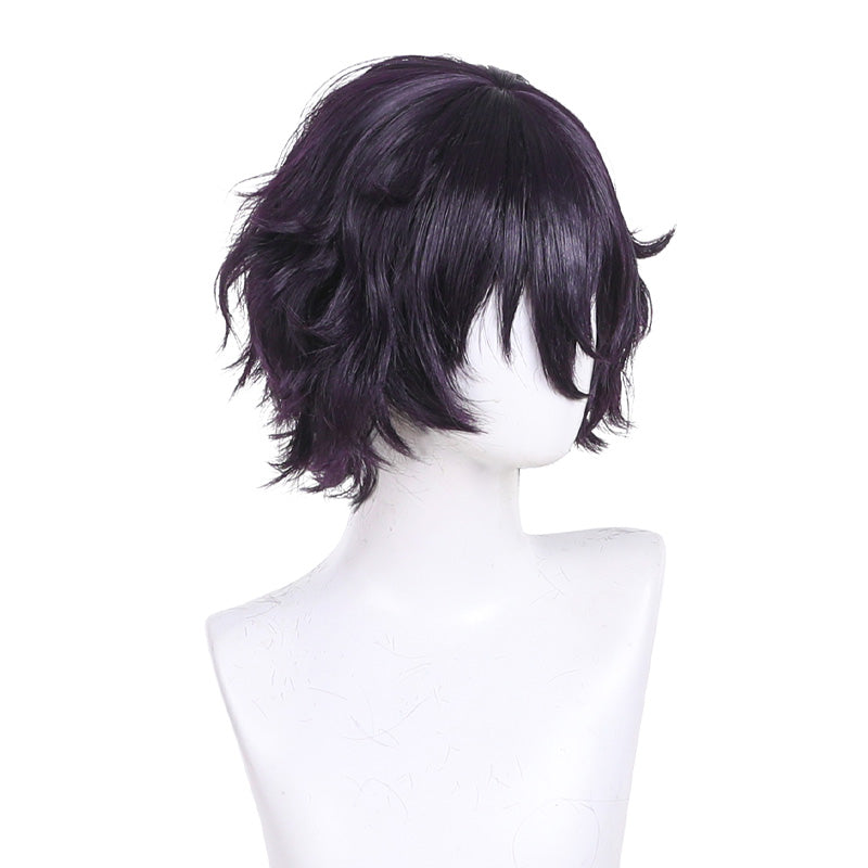 Witch Hat Atelier Agott Arklaum Cosplay Wigs