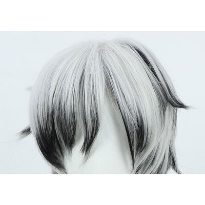 Honkai Impact 3rd Kalpas Cosplay Wigs