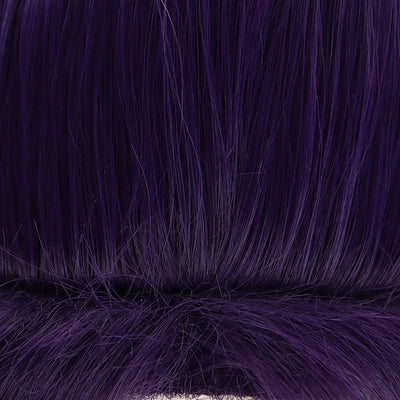 Anime The Apothecary Diaries Jinshi Cosplay Wigs