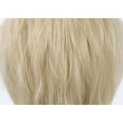 Delicious in Dungeon Laios Touden Cosplay Wigs