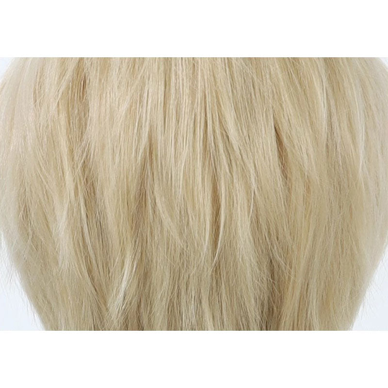 Delicious in Dungeon Laios Touden Cosplay Wigs