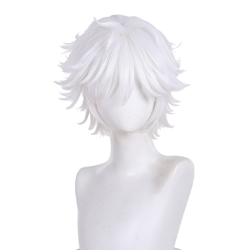 Witch Hat Atelier Qifrey Cosplay Wigs