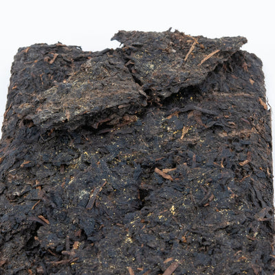 1990 Hei Cha Brick Pieces, Hunan Province