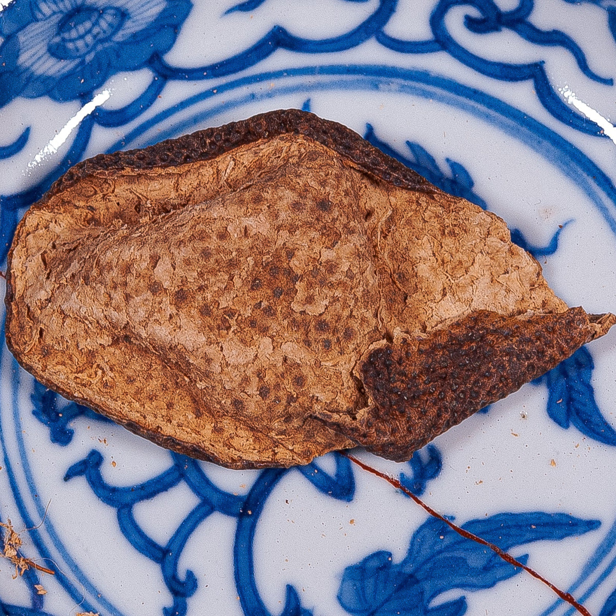 Year 2001  Xinhui Meijiang Tangerine Peel, Chenpi