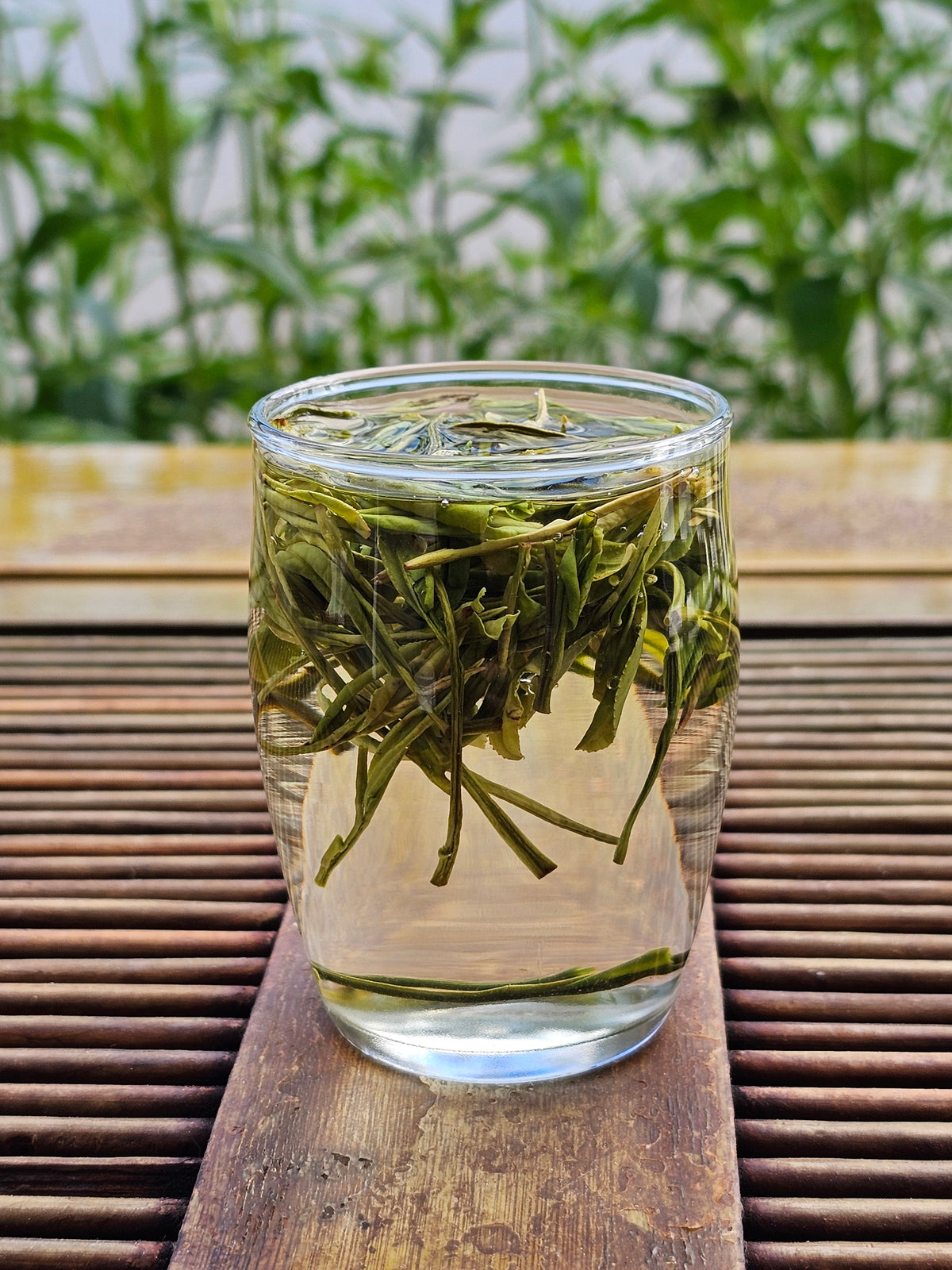 New 2026 Ming Qian (Early April) Anji Bai Cha Green Tea
