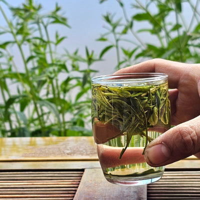 New 2026 Ming Qian (Early April) Anji Bai Cha Green Tea