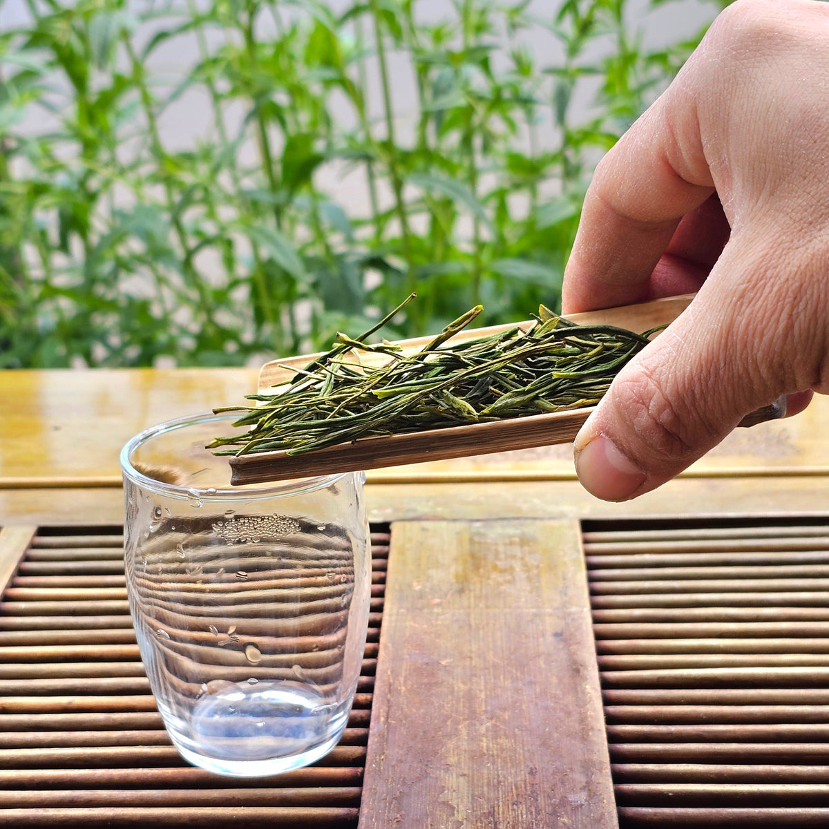 New 2026 Ming Qian (Early April) Anji Bai Cha Green Tea